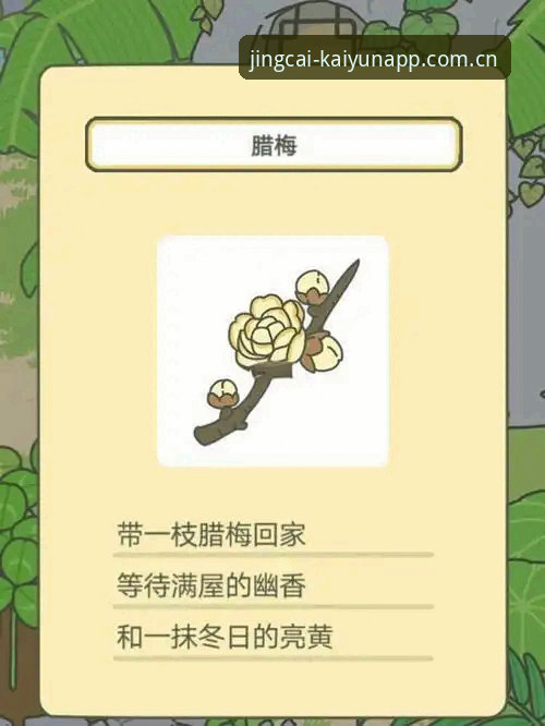 Kaiyun竞猜优惠必备完整指南：从入门到高阶玩法全解析